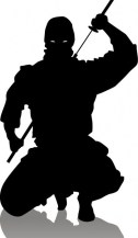 ninja