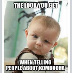 kombucha